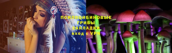 мяу мяу мука Инта