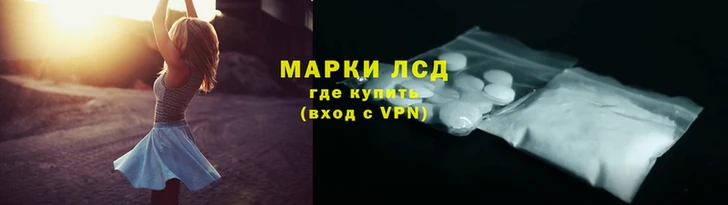 мяу мяу мука Инта