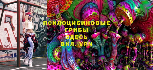 мяу мяу мука Инта