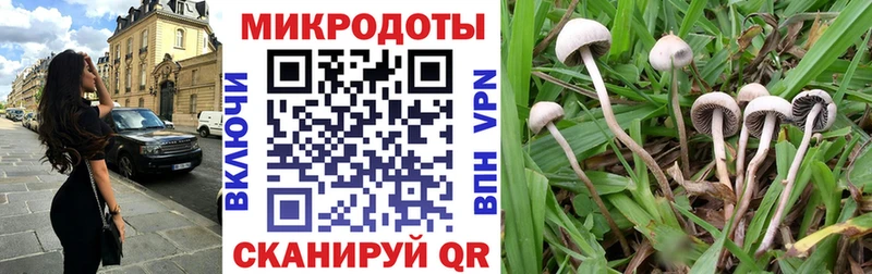 Псилоцибиновые грибы MAGIC MUSHROOMS Купить где Макушино